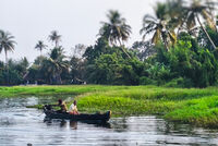 без име ( ID=2579351 ); Коментари:4