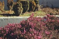 без име ( ID=2579357 ); Коментари:1