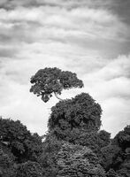 На върха на света; comments:3