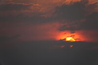 Тихо угасване; Коментари:6