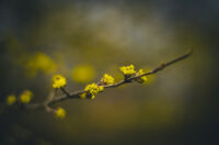 no name ( ID=2579466 ); comments:3