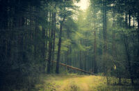 no name ( ID=2579467 ); comments:7