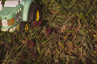 Крилато; Няма коментари