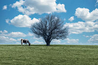 Безвремие; Коментари:3