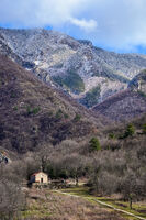 без име ( ID=2579517 ); Коментари:3