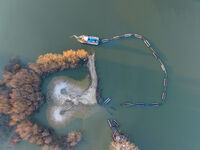 В търсене на симетрията ...; Коментари:17