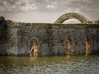 no name ( ID=2579547 ); comments:3