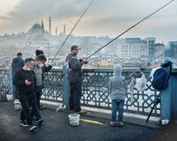 The Catch; comments:4