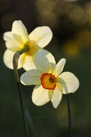 no name ( ID=2579598 ); comments:4