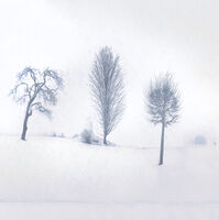 Трима братя...; Коментари:12