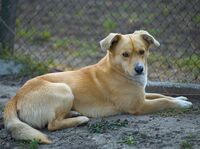 Социална мрежа; Няма коментари