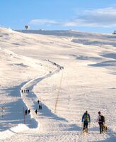 Витоша; comments:5