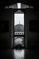 Бог през очите на науката; Коментари:5