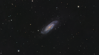 NGC 3198; comments:2