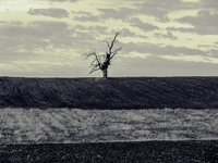 Самота; comments:4