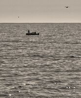 В морето; No comments