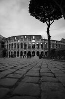 no name ( ID=2579710 ); comments:3