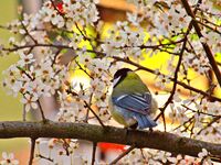 без име ( ID=2579748 ); Коментари:3