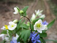 no name ( ID=2579749 ); comments:2