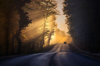 no name ( ID=2579752 ); comments:29