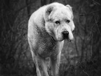 no name ( ID=2579764 ); comments:2