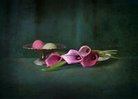 без име ( ID=2579769 ); Коментари:41