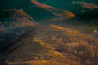 no name ( ID=2579783 ); comments:9