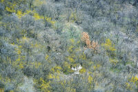 no name ( ID=2579803 ); comments:1