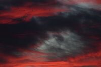 Сутрешно видение; comments:2