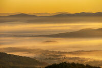 Златно Златоградско утро; comments:9