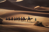 Пътуването; Коментари:16