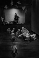 в търсене на светлина; comments:19