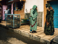 no name ( ID=2579831 ); comments:1