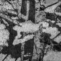 Очакване за пролет; Коментари:17