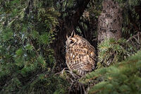 no name ( ID=2579850 ); comments:3