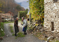 no name ( ID=2579865 ); comments:20