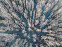 Наводнена гора; comments:5