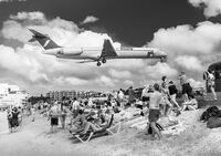 Paradise Disturbed; comments:5