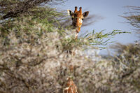 Hello!; Коментари:6