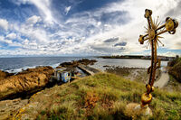 без име ( ID=2579933 ); Коментари:6