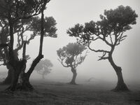 no name ( ID=2579936 ); comments:13