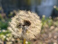 Утро; comments:4