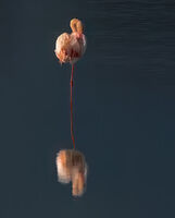 no name ( ID=2579955 ); comments:10