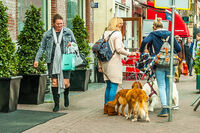 no name ( ID=2579957 ); comments:7