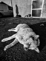 no name ( ID=2579961 ); comments:3