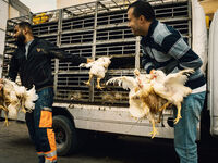 Sidi Afni, Morocco; comments:2