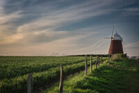 приказка за лятото; comments:11