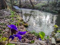 без име ( ID=2580022 ); Коментари:3