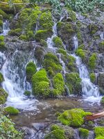 без име ( ID=2580024 ); Коментари:3