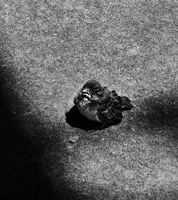 без име ( ID=2580027 ); Няма коментари